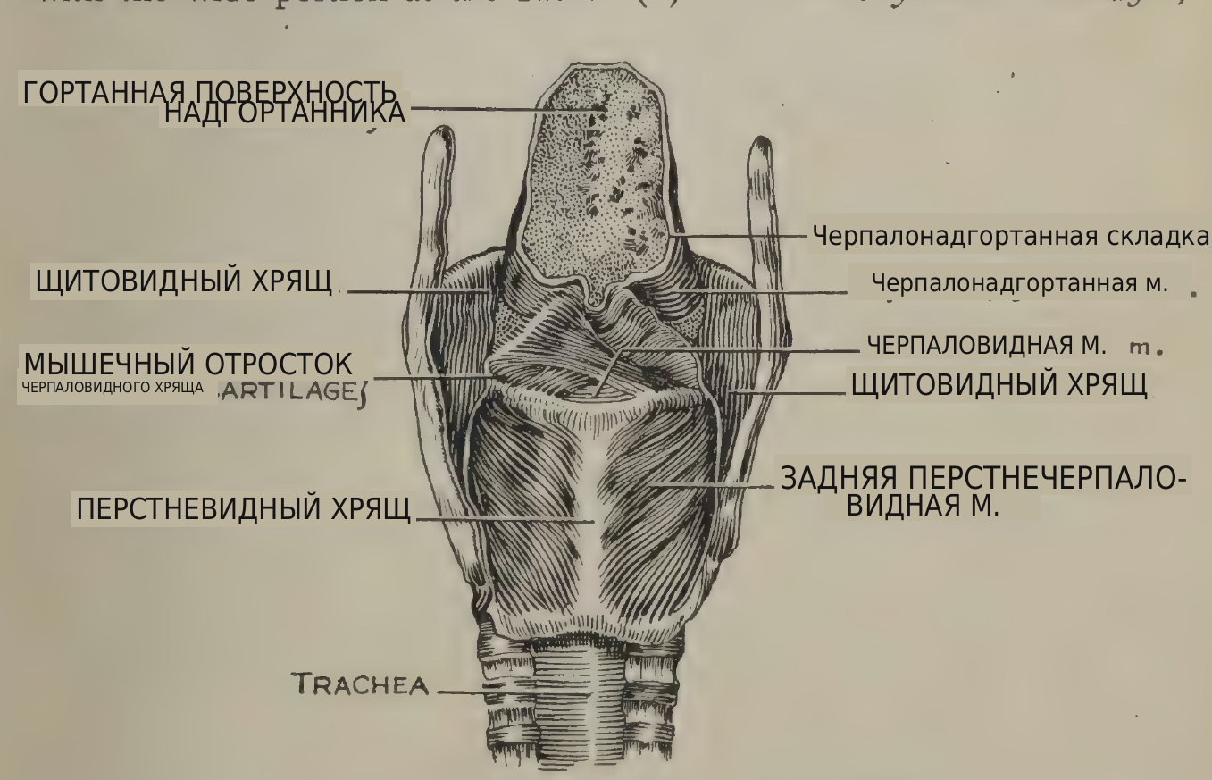 перевод надписей