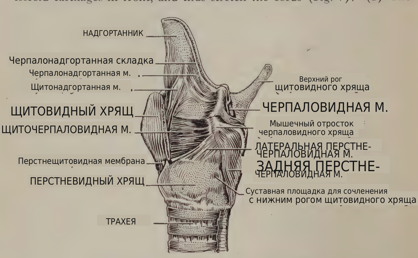 перевод надписей