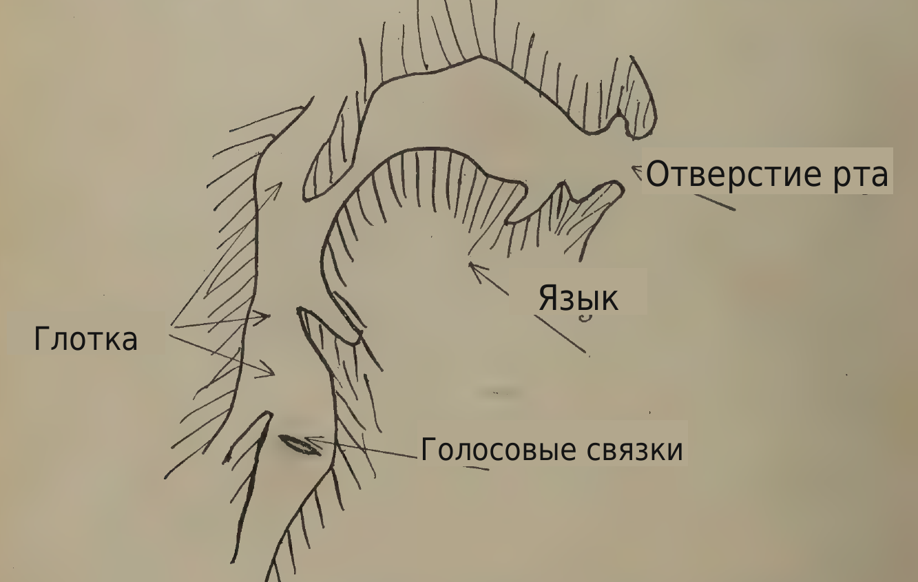 перевод надписей