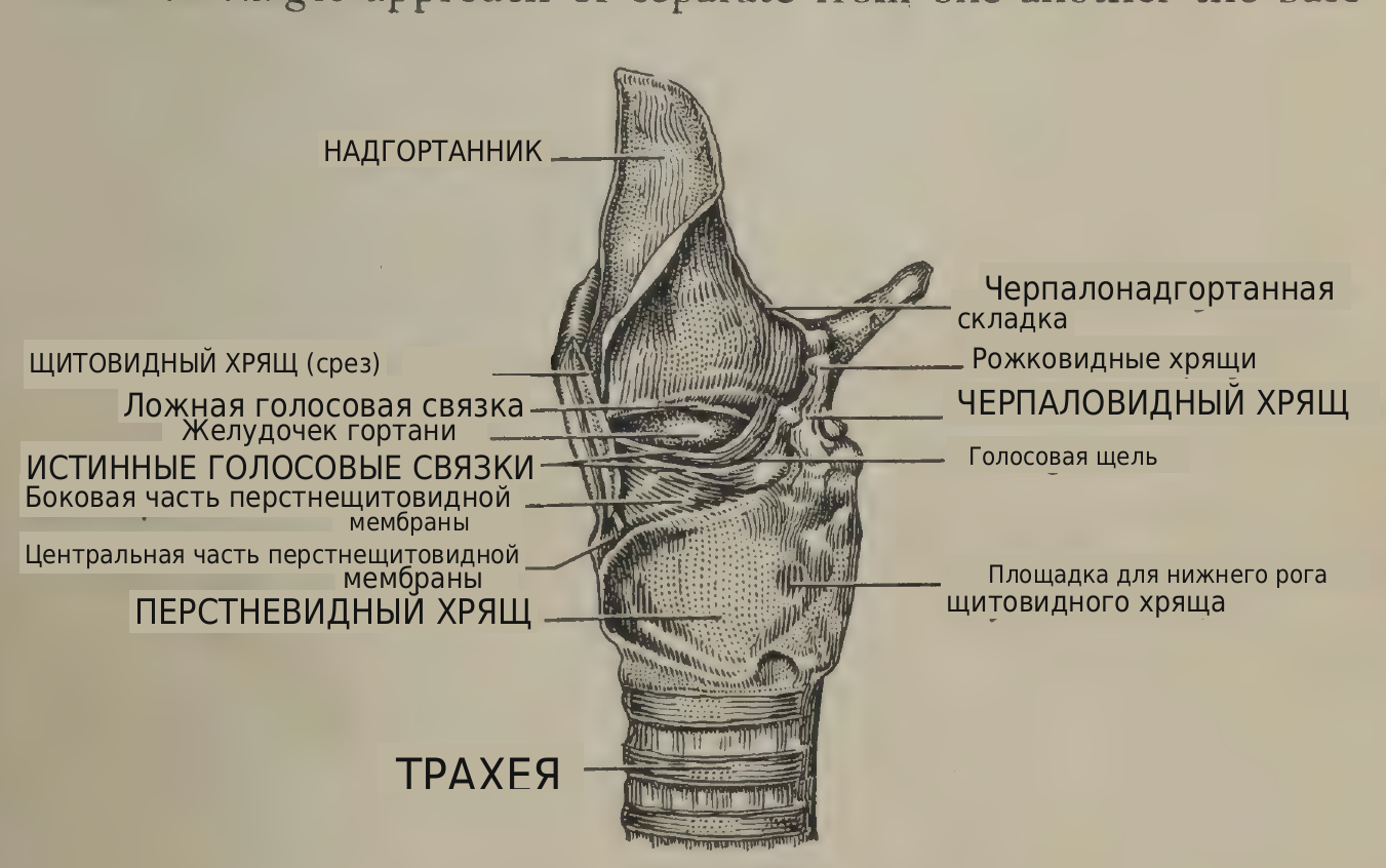 перевод надписей