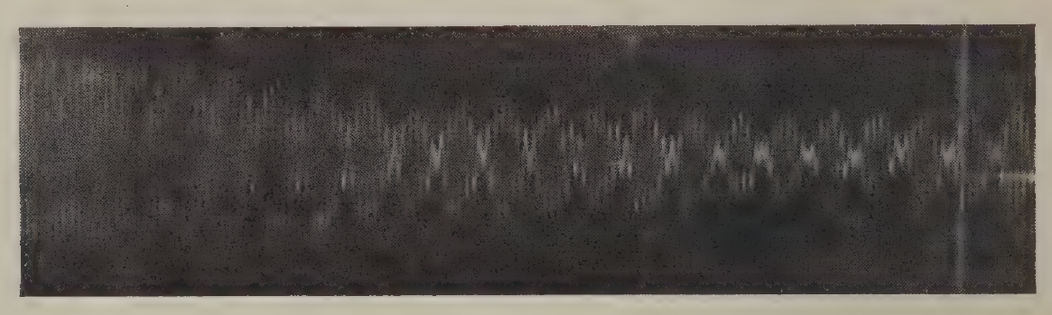 FIG:16