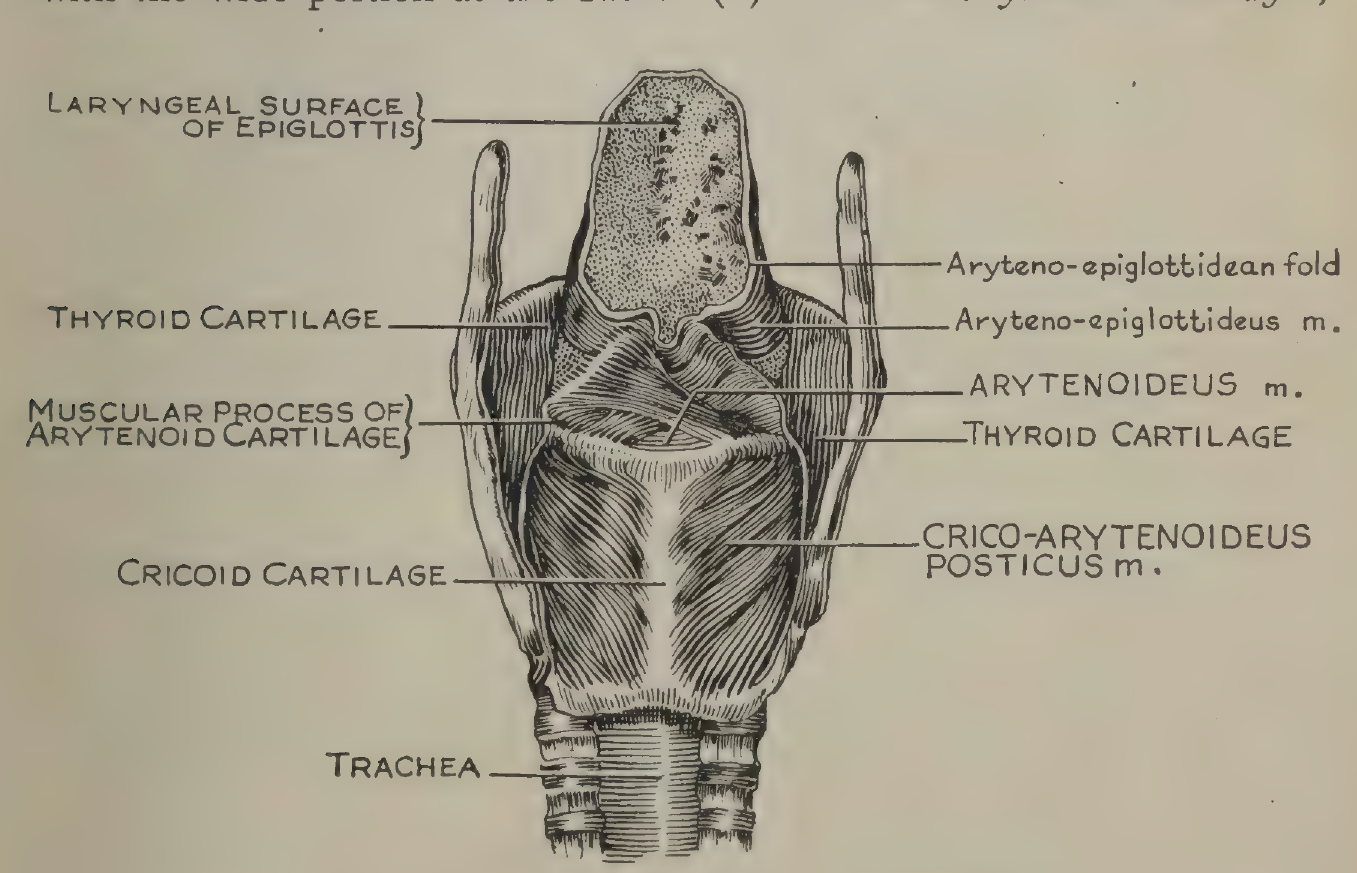 FIG:1
