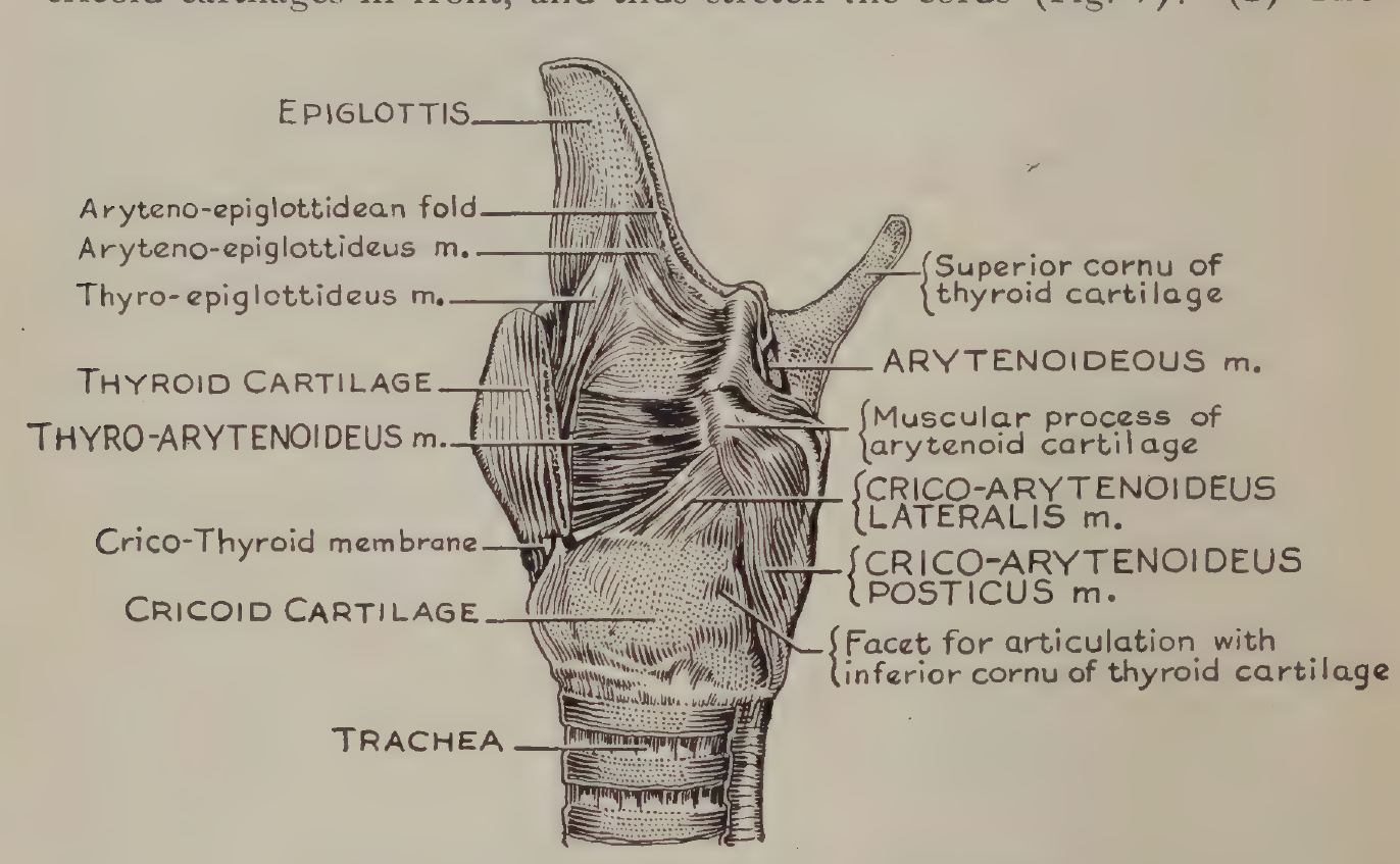 FIG:2