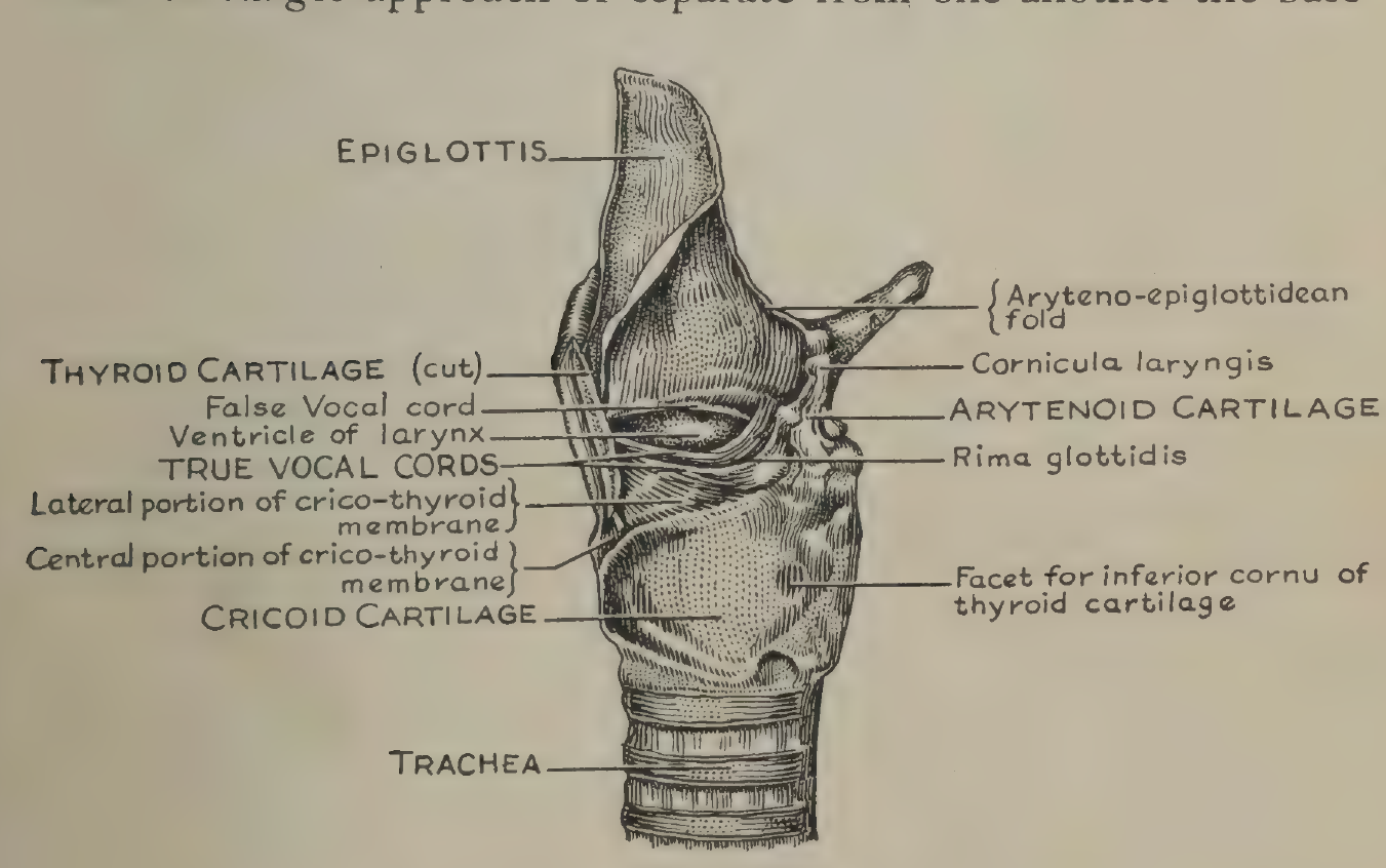 FIG:4
