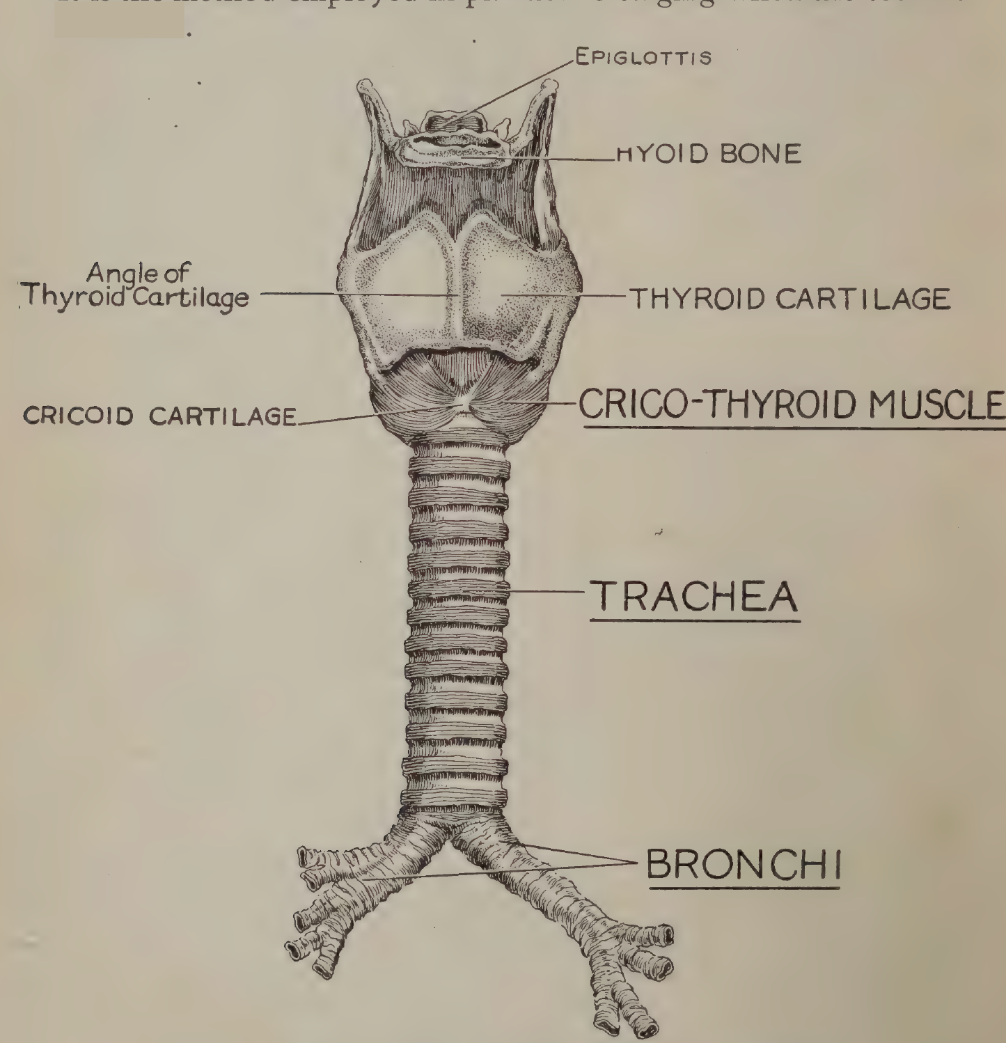 FIG:5