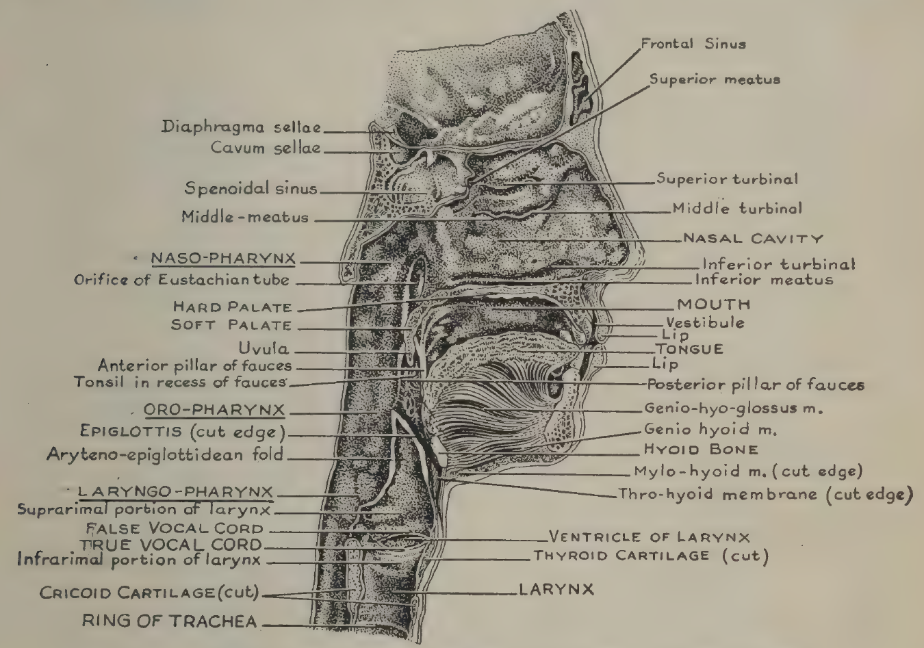 FIG:6